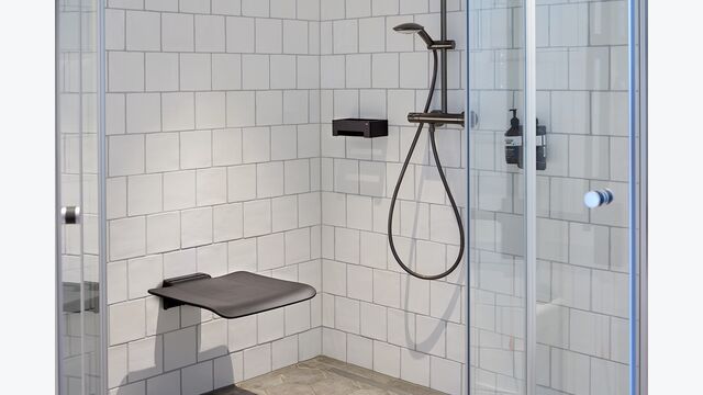 Die Dusche mit schwarzen Elementen.