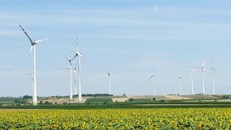 © Windpark, Projektfabrik Waldhör KG Ein Windpark im Grünen.