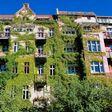 hausbegrünung, fassadenbegrünung, berlin, wohnen im grünen, e, hausbegrünung, fassadenbegrünung, berlin, wohnen im grünen, efeu, prenzlauer berg, miete, wohnhaus, altbau, haus, immobilie, mietshaus, fassadengestaltung, häuser, hausfassade, wohnen, wohnidylle, bauwerksbegrünung, wohnung, wohnhäuser, gentrifizierung, wohnungssuche, häuserzeile, begrünung, begrünt, grün, häuserreihe, häuserfront, hauszeile, haussanierung, wohnungsmarkt, mietspiegel, hausreihe, apartement, eigentumswohnung, bürgerhaus, altbauten, wohneigentum, wohnungsnot, mietpreisbremse, alte häuser, mietwohnung, bürgerlich, altes haus, balkon, luxuswohnung, saniert, fassade, dachwohnung