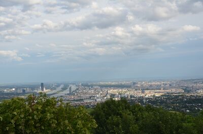 Ein traumhafter Ausblick von der Terrasse der Modul University am Kahlenberg