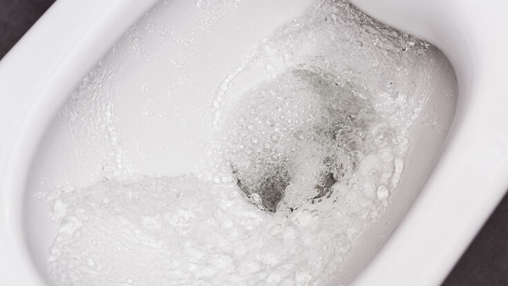 © Irina - stock.adobe.com flush toilet water white clean restroom bathroom flushing hygiene down bowl home ceramic drain splash background wc lavatory sanitary closet swirl healthy washroom seat vortex liquid ideas concepts wash interior whirlpool household closeup modern safety luxury saving domestic health room latrine plumbing hygienic flush toilet water white clean restroom bathroom flushing hygiene down bowl home ceramic drain splash background wc lavatory sanitary closet swirl healthy washroom seat vortex liquid ideas concepts wash interior whirlpool household closeup modern safety luxury saving domestic health room latrine plumbing hygienic