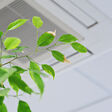 air quality air conditioning conditioner office plant apartment care conditions copy space decoration design ficus fig tree flower green home indoor interior leaf lifestyle light minimalism modern poison room tree ventilation ceiling ac asthma condition conditioning cooler dirt dust energy environment fan fug health care housing maintenance mold respiratory problems unhealthy wall winter business fresh