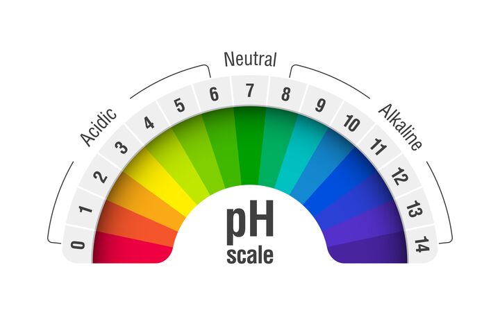 pH value scale chart for acid and alkaline solutions, acid-base balance infographic