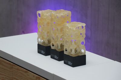 Die Auszeichnungen für die drei Gewinnerprojekte in jeder Kategorie, gestaltet vom Künstler Peter Kolčák.