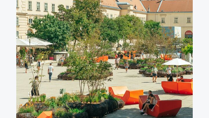 Im Publikumsvoting konnte folgendes Projekt überzeugen: MQ goes Green – Begrünung des MuseumsQuartiers, MuseumsQuartier E+B GesmbH