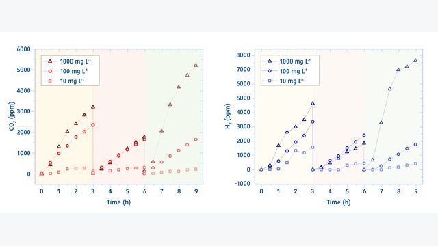 Ergebnisse aus dem Abbau von Ethylendiamintetraessigsäure (EDTA), das zur Farbentwicklung in der Papierindustrie Verwendung findet – links: Verlauf der CO2-Konzentration; rechts: Verlauf der H2-Konzentration.