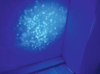 © Tappler Durch Fluoreszenzspektroskopie sichtbarer Schimmelbefall an einer weißen Wand.