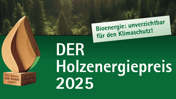 Holzenergiepreis 25