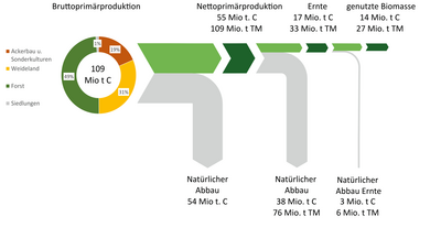 Primärproduktion von Biomasse in Österreich