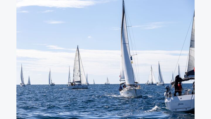 ISZ Cup