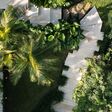 Das Feriendomizil Lost Villa auf Bali setzt auf Axor-Armaturen.