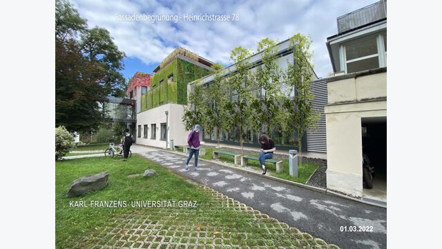 Rendering des ursprünglich geplanten Begrünungsvorhabens