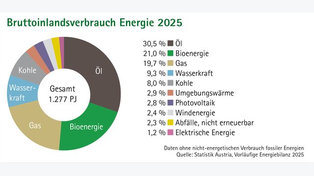 Die Bioenergie hat das fossile Erdgas erstmals überholt, geht aus den Daten der vorläufigen Energiebilanz 2025 von Statistik Austria hervor.