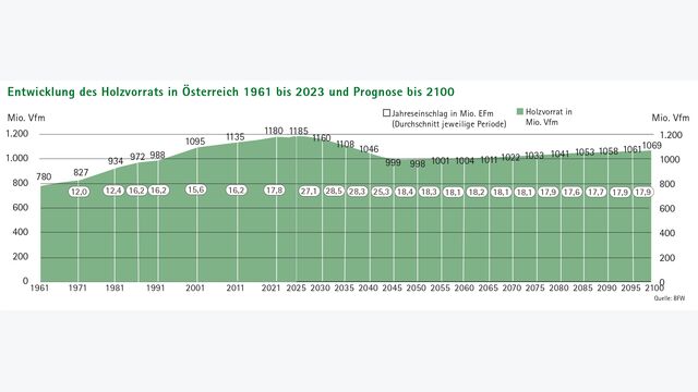 Der Klimawandel lässt aufgrund zunehmender Extremereignisse nur begrenzt einen weiteren Anstieg der Holzvorräte zu.